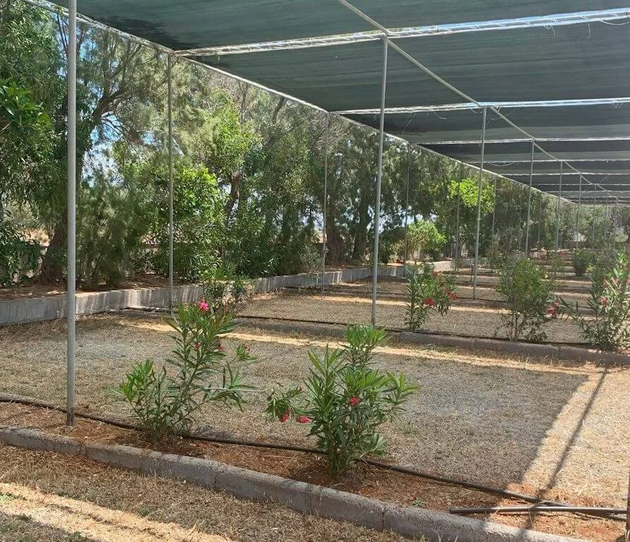 Camping Area C